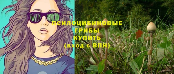 стаф Кукмор