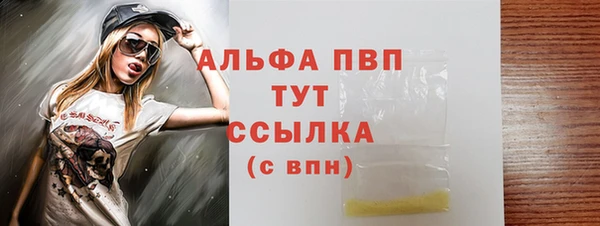 прущие грибы Ладушкин