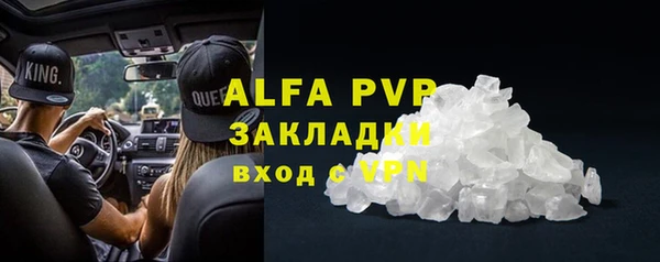 ГАЛЛЮЦИНОГЕННЫЕ ГРИБЫ Кущёвская