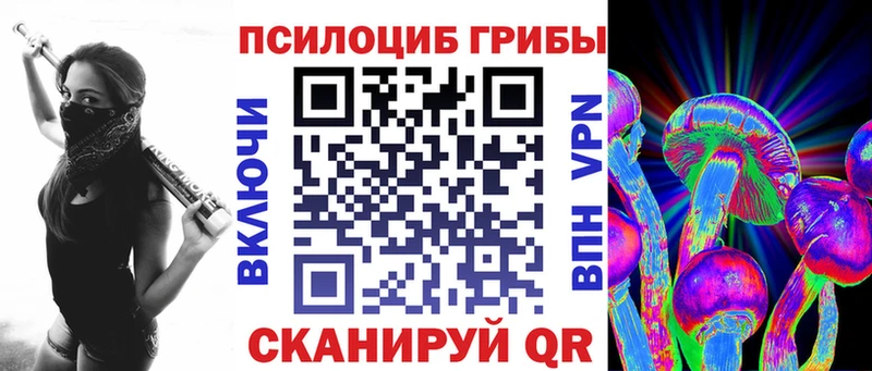 Галлюциногенные грибы Psilocybe  наркошоп  Севастополь 
