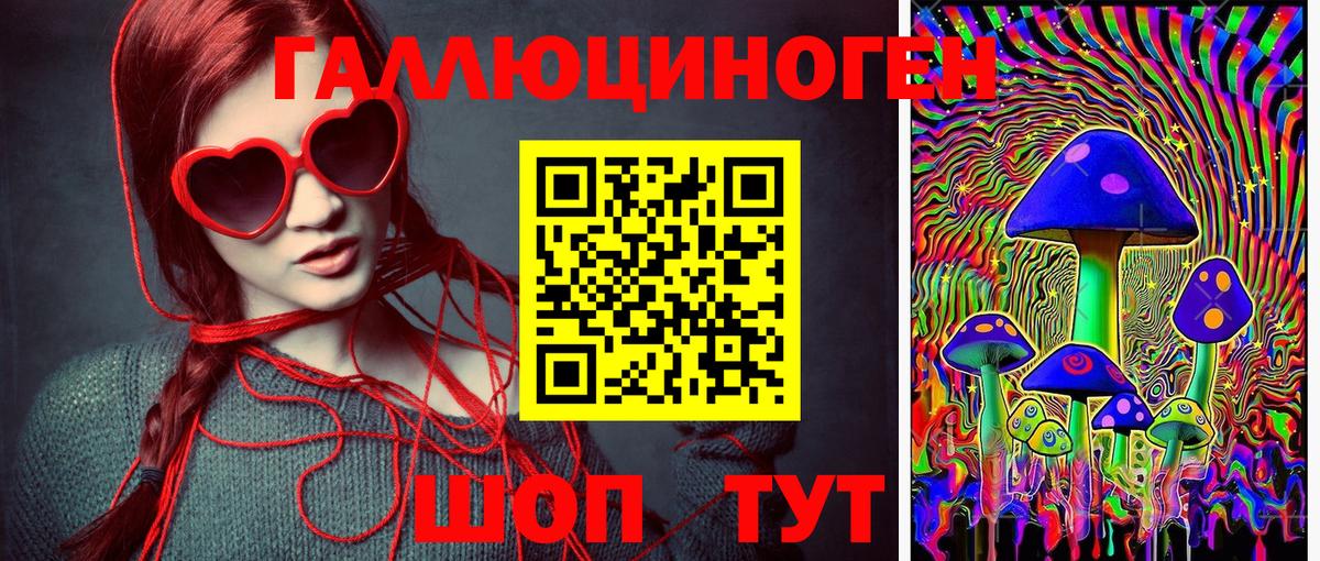 Псилоцибиновые грибы Cubensis  купить закладку  Севастополь  Псилоцибиновые грибы MAGIC MUSHROOMS 