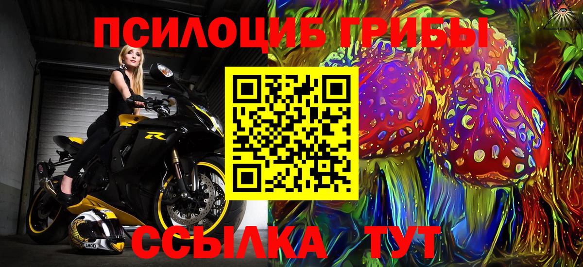 Севастополь  Галлюциногенные грибы Cubensis  Вход с VPN 